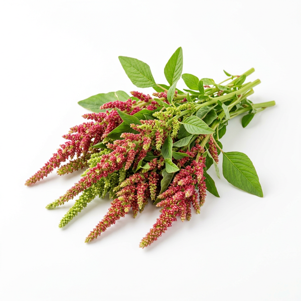 Amaranth