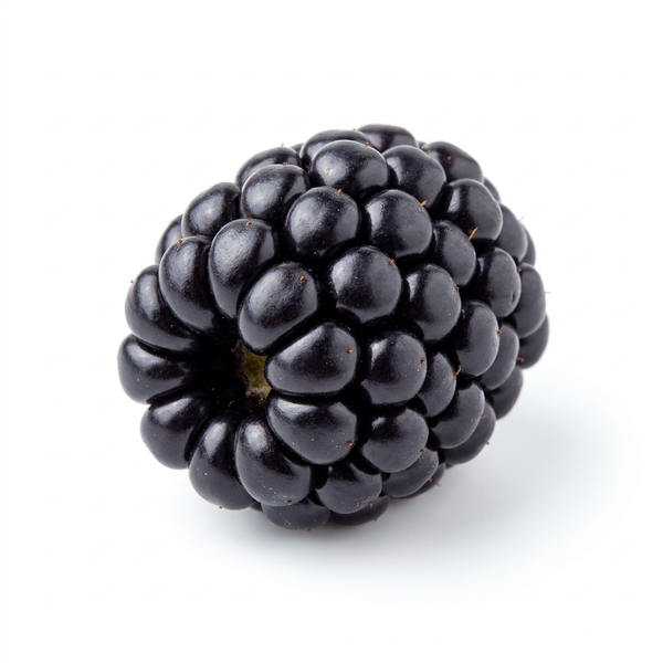 Brombeere