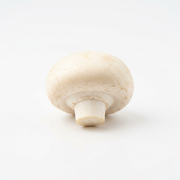 Champignon