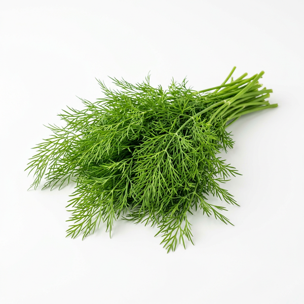 Dill