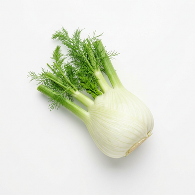 Fenchel