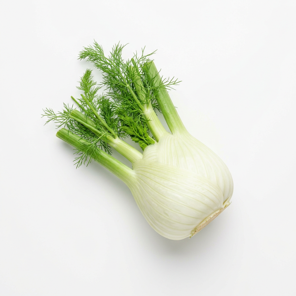 Fenchel