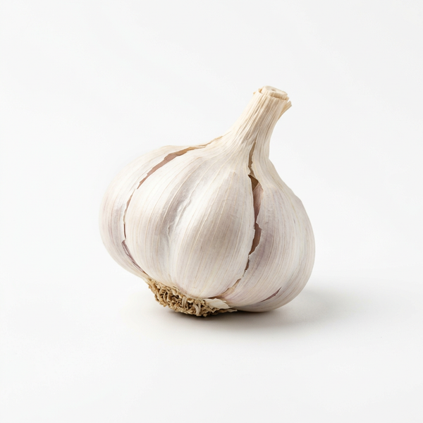 Knoblauch