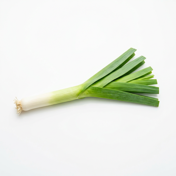 Lauch