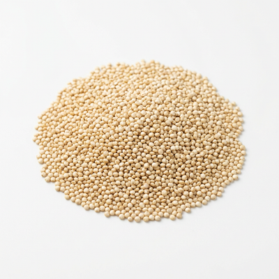 Quinoa