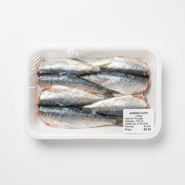 Sardine