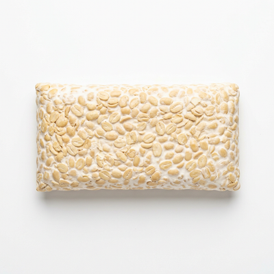 Tempeh