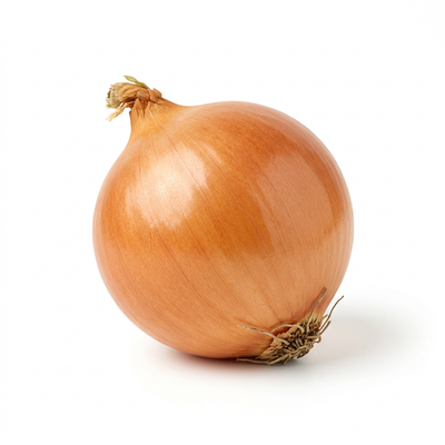 Zwiebel